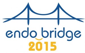 EndoBridge logo