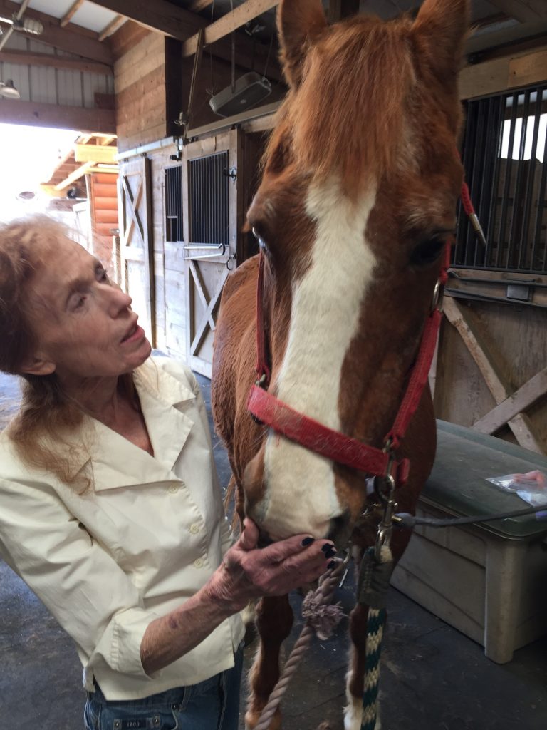 Remembering Angela Hartley Brodie PhD FAACR A Research Role