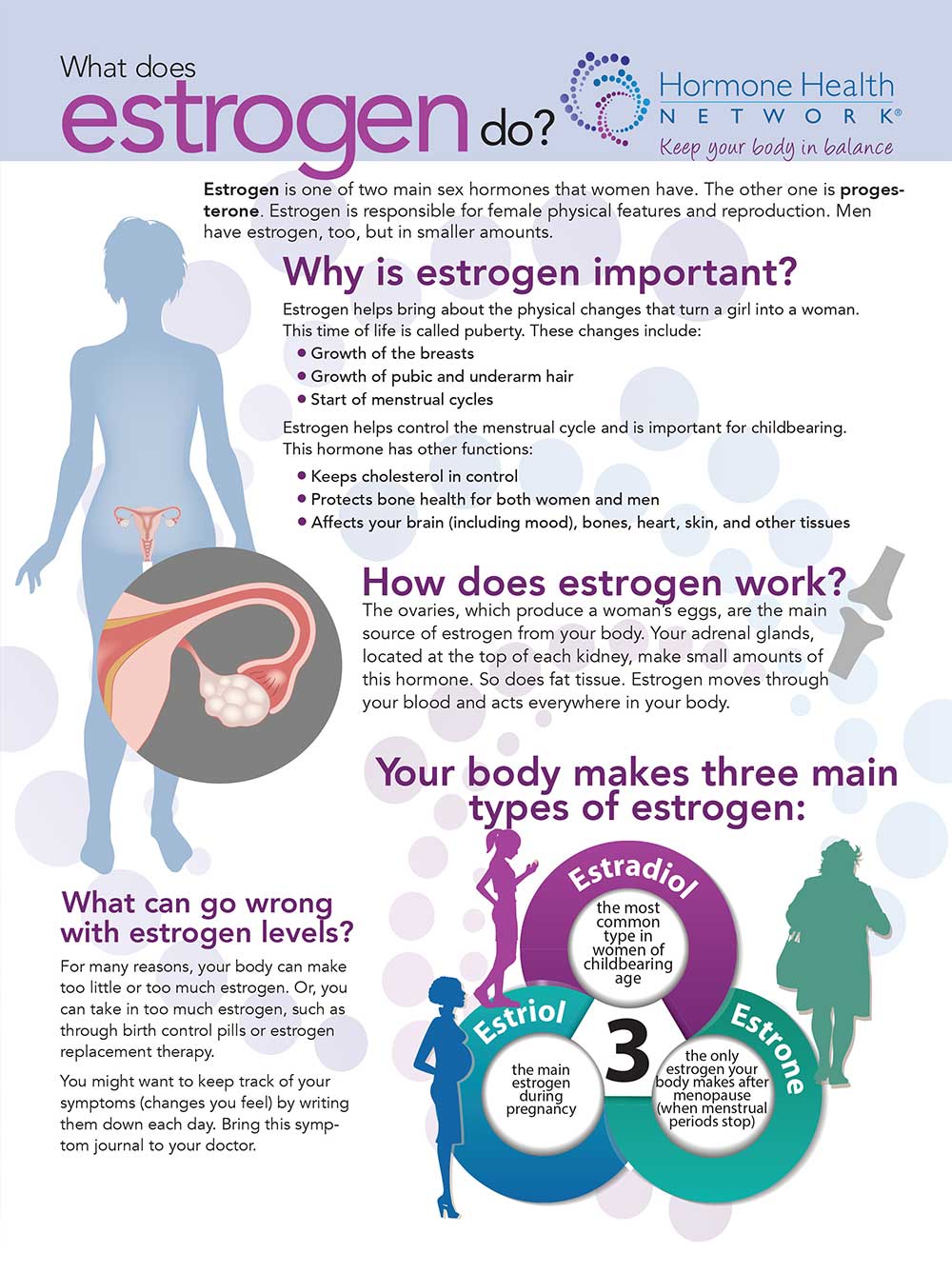 what-does-estrogen-do-endocrine-news