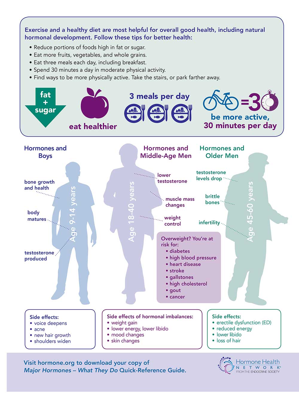 All About Your Hormones, Your Body's Chemical Messengers - Endocrine News