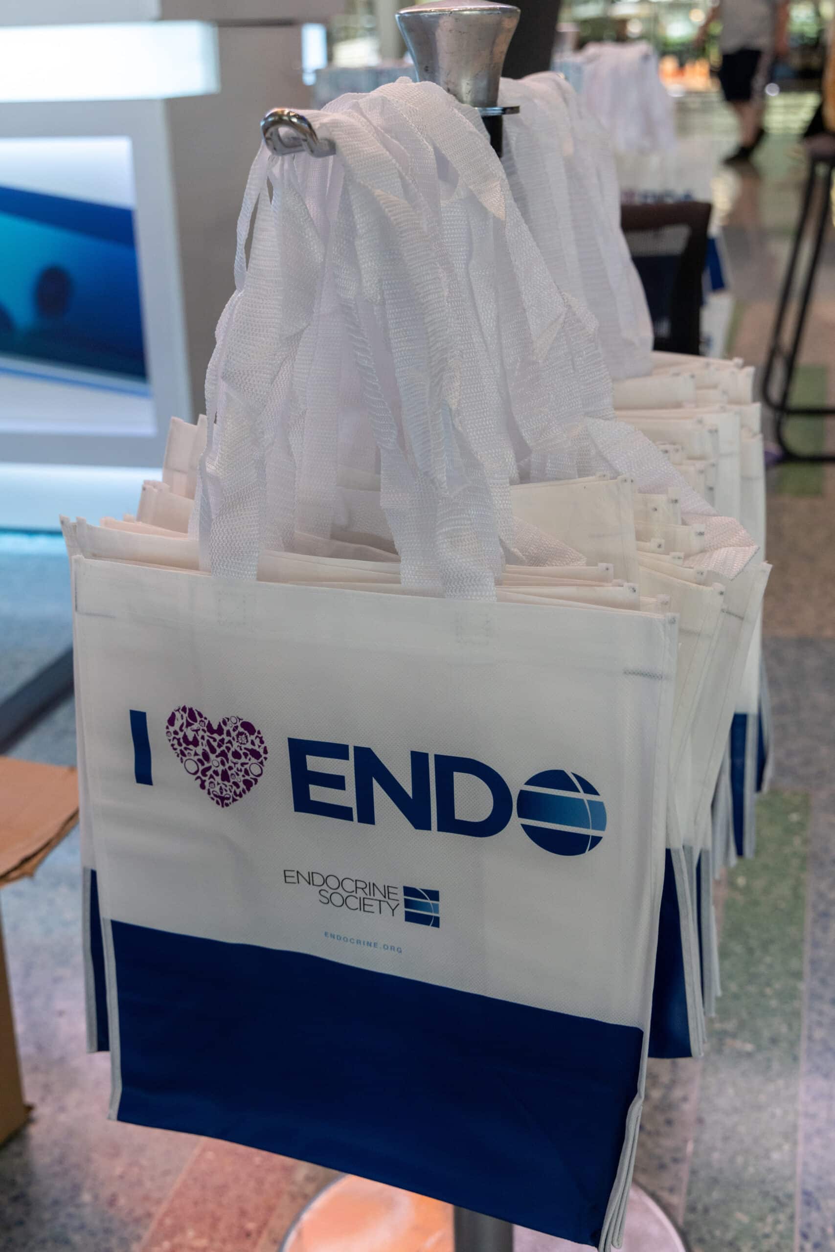 Looking Back: Unforgettable Moments from ENDOs Past
