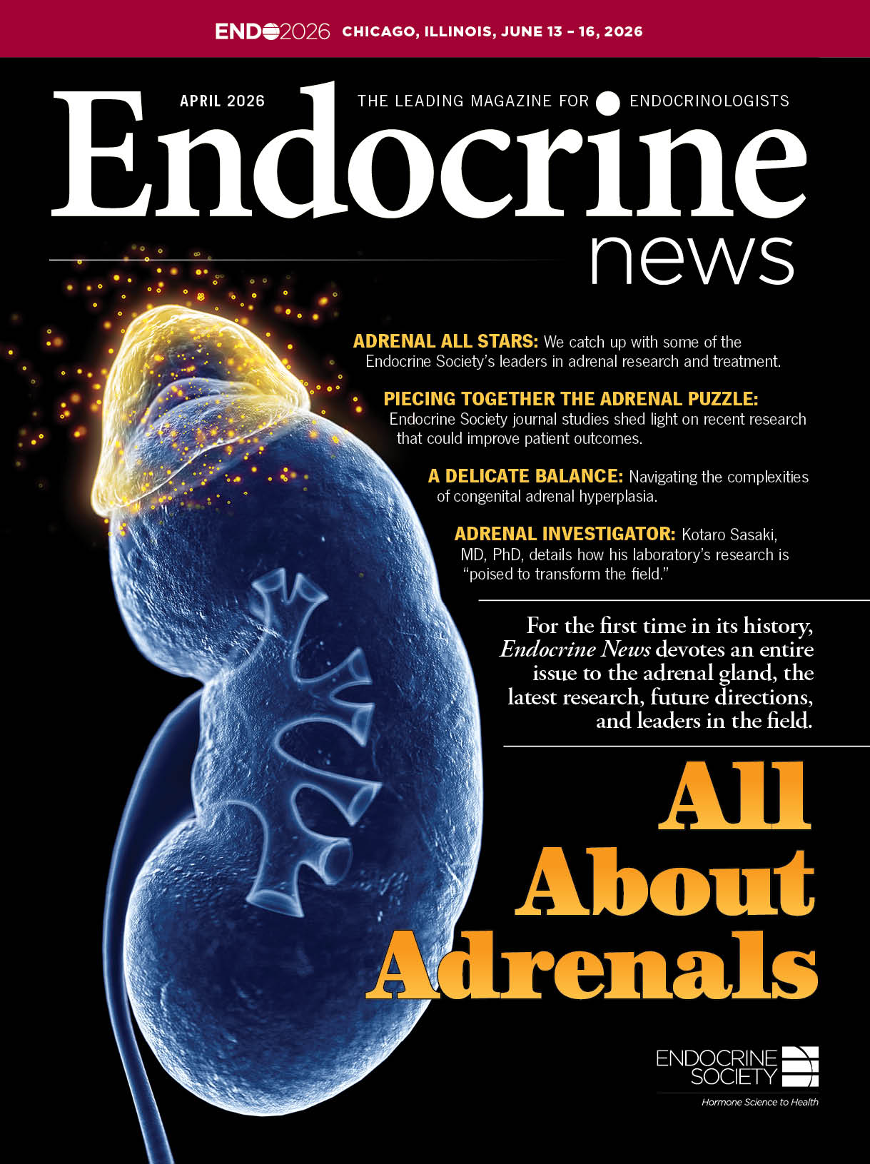 Piecing Together the Adrenal Puzzle