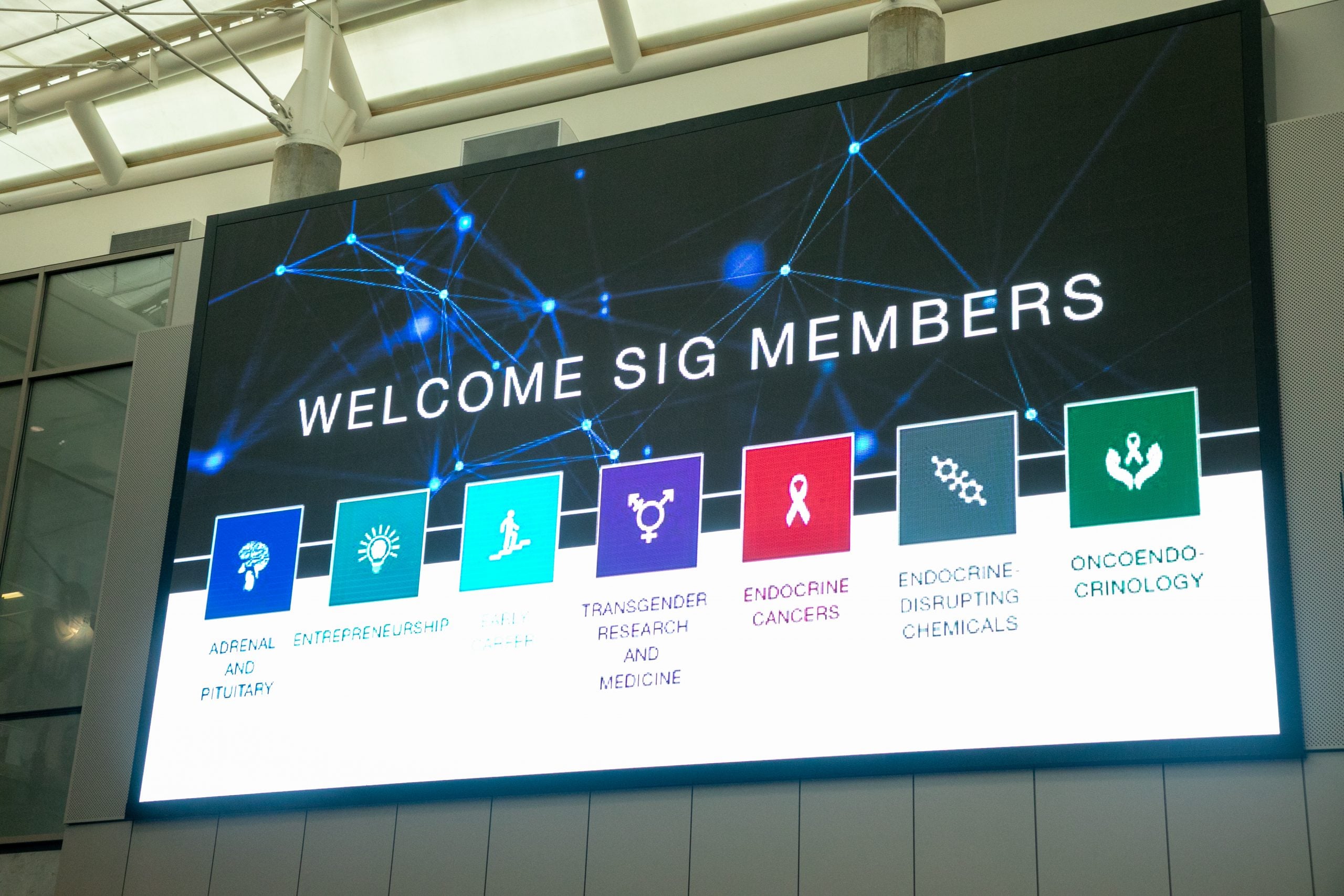 The Seventh SIG: Oncoendocrinology